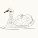 MG: swan