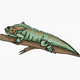 MG: common iguana; iguana (Iguana iguana)