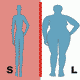 MG: lean; slim; thin; slender; slight
