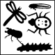 MG: насекомое