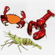 MG: crustacean