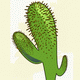 MG: cactus; pianta grassa