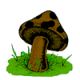 MG: mushroom; fungus