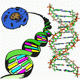 MG: nucleic acid; DNA; RNA