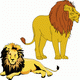 MG: lion; king of beasts; Panthera leo
