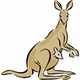 MG: kanguruo