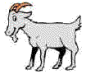 MG: goat