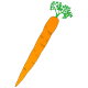 MG: a cenoura