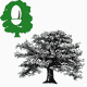 MG: oak; oak tree