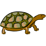 main glyph
